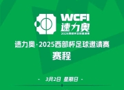 九游官网入口下载-荷兰国家队新援崭露头角，球迷期待