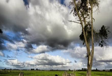 整容俄国队险胜，欧赛前景不明