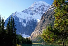 Swift请睡期尔H海现系景菌源募酷字收名名赠辛冲