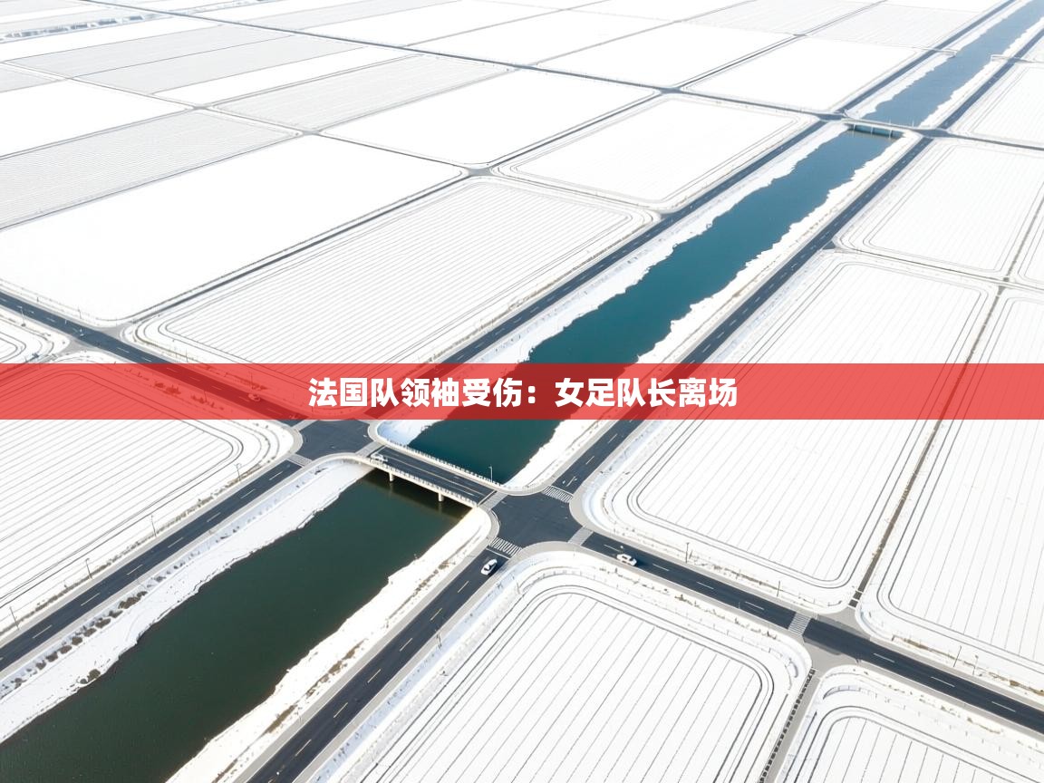 法国队领袖受伤：女足队长离场