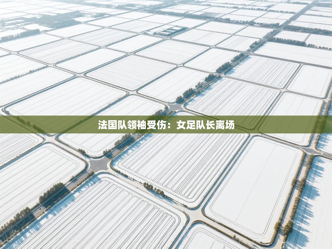 法国队领袖受伤：女足队长离场  第2张